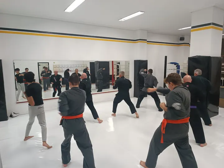 KaizenAcademy改善Burgos — mma-studio en Burgos — 4