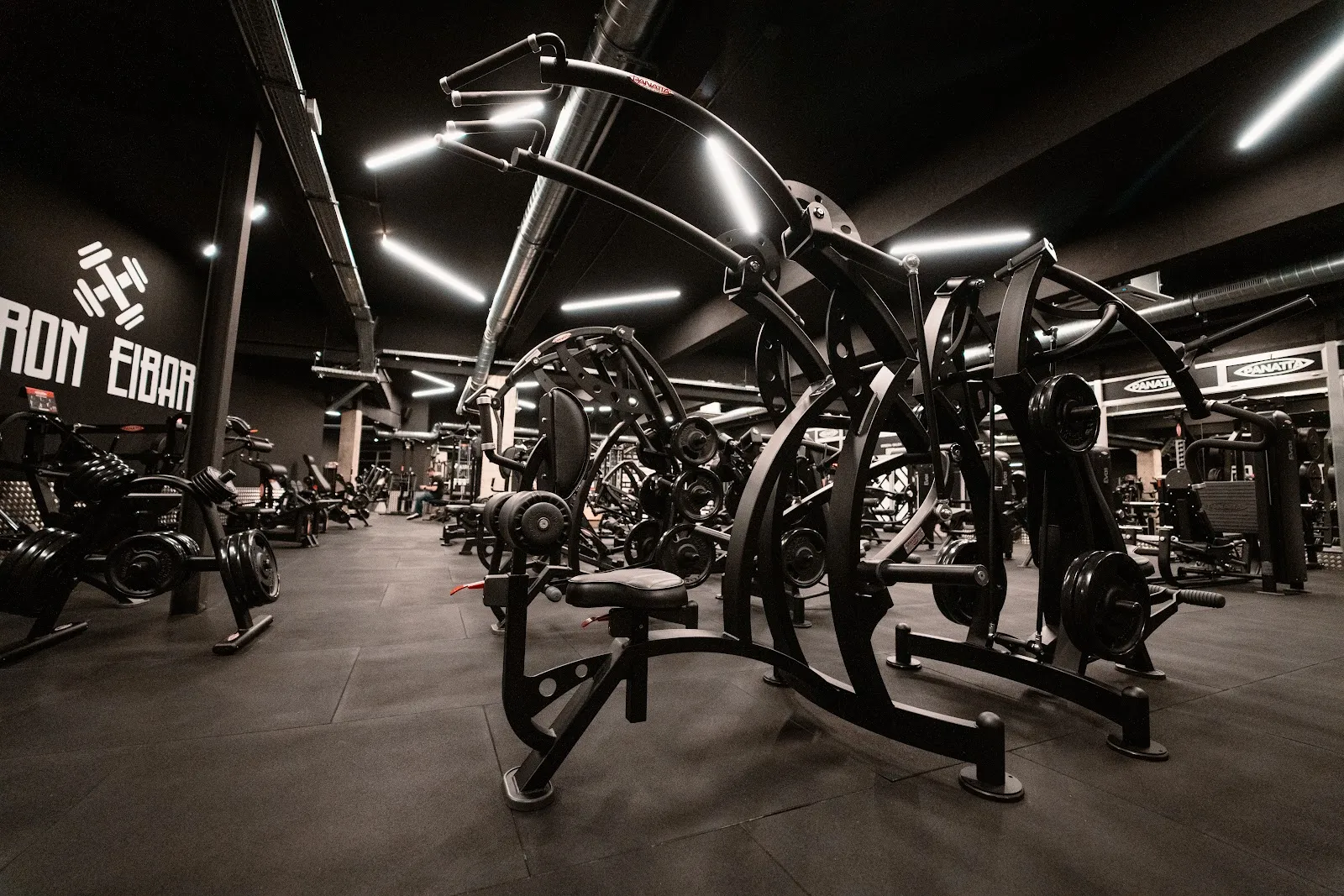 Iron Eibar — fuerza-studio en Eibar — 4