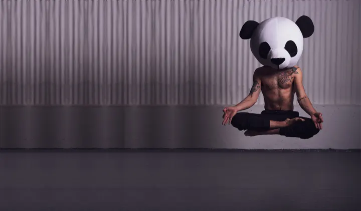 Luna & Wolf — Yoga in Exeter