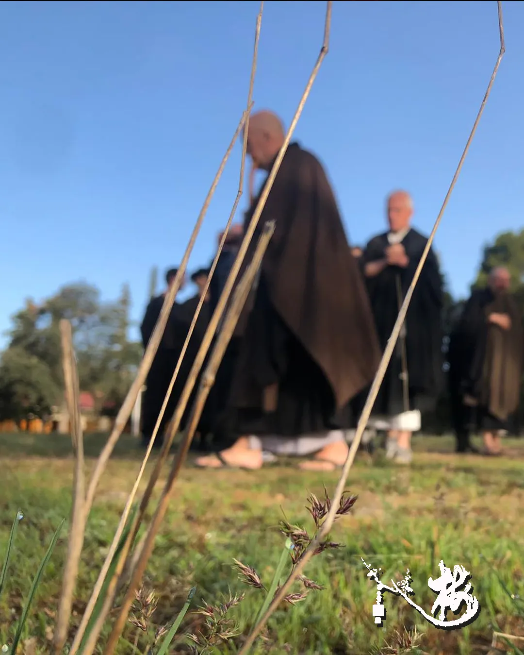 Dojo Zen Lleida — meditación-studio en Lleida — 3