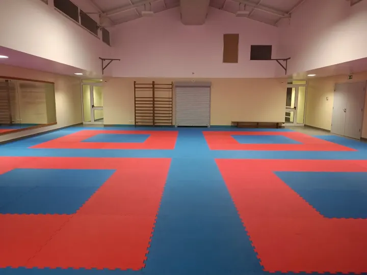 Bujinkan Tsuru Dojo São Domingos de Rana — Artes marciais em Tires, São Domingos de Rana