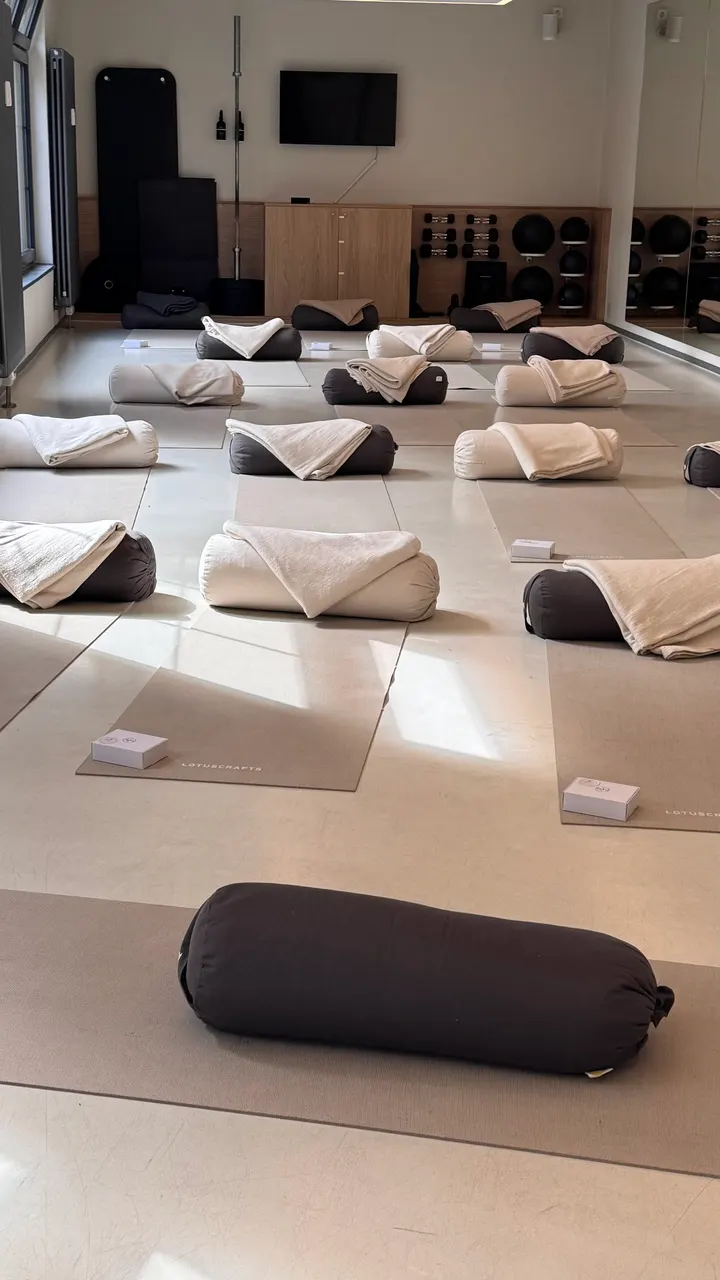 SEVEN APICA GmbH — Fitnessstudio in Mitte, Braunschweig