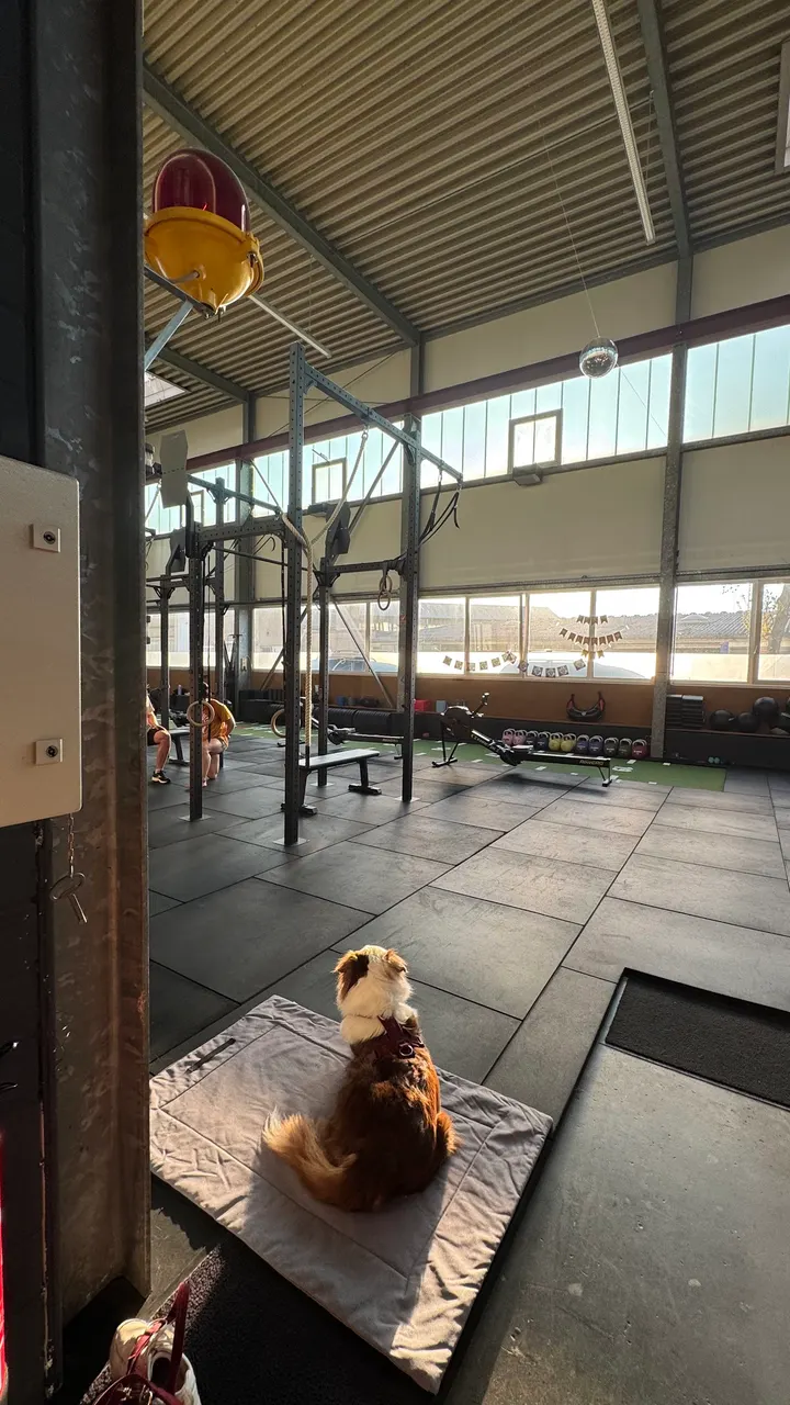 zündstoff CrossFit — crossfit-studio in Berlin — 4