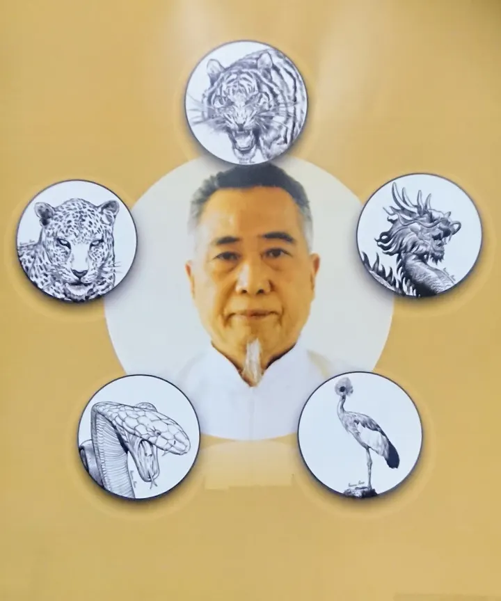 Scuola di Kung Fu e Tai Chi Vercelli — arti marziali-studio a Vercelli — 3