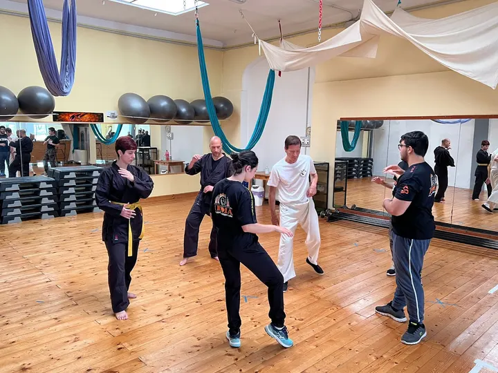 Scuola di Kung Fu e Tai Chi Vercelli — arti marziali-studio a Vercelli — 5