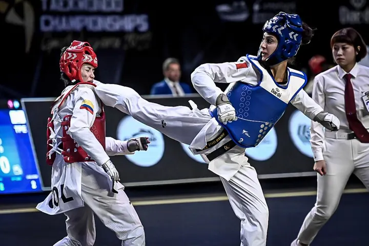 Taekwondo Brescia Team — Arti marziali a Porta Venezia, Brescia