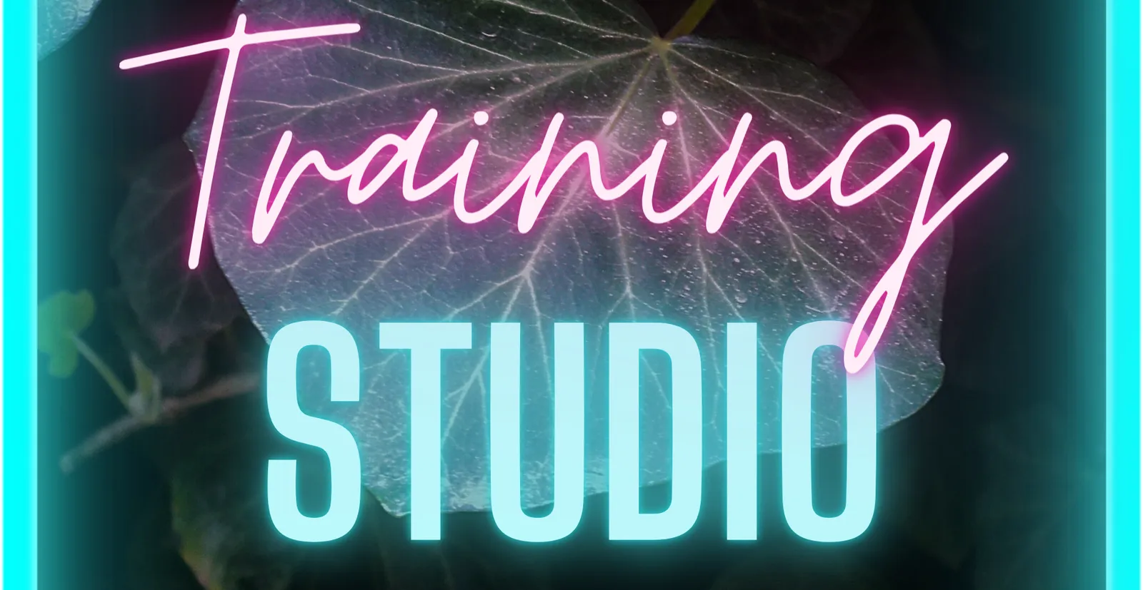 Health & Fitness Studio — träningsstudio-studio i Ansoáin — bild 4