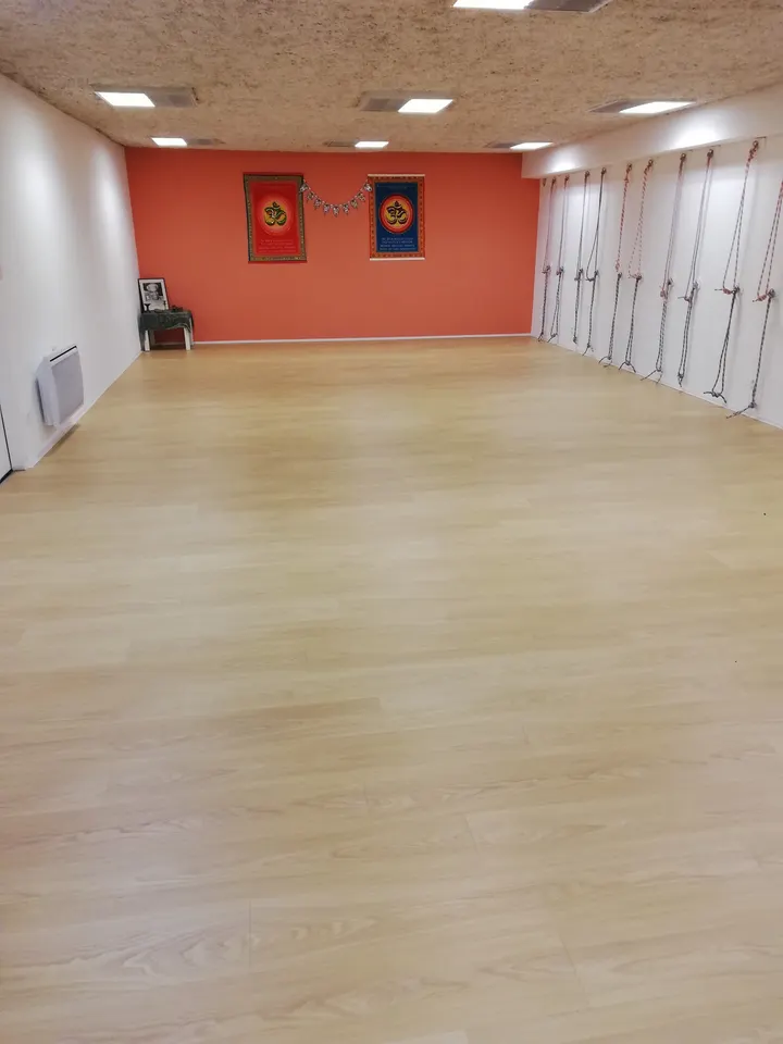 Satya Yoga — yoga-studio à Fief Rose, Lagord — 3