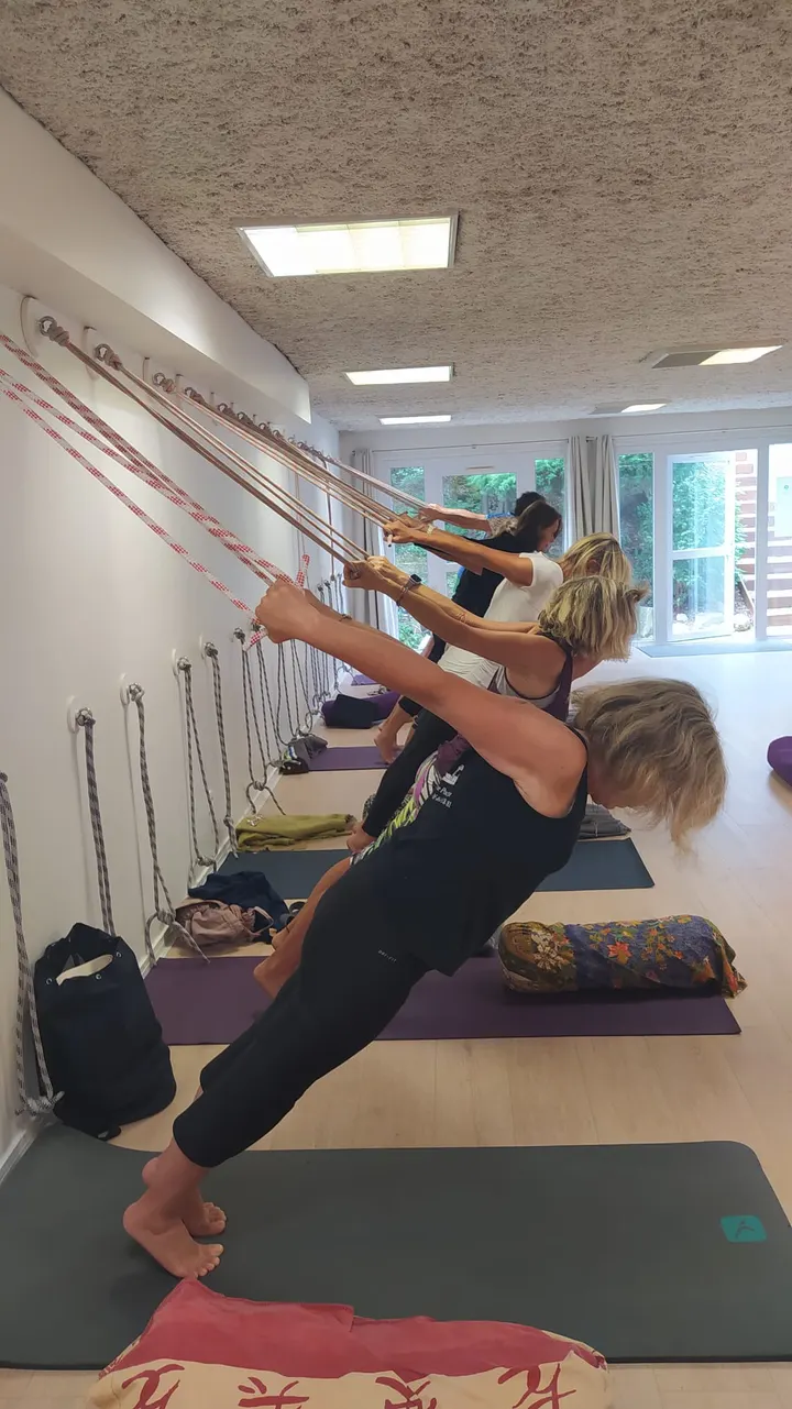 Satya Yoga — yoga-studio à Lagord — 5