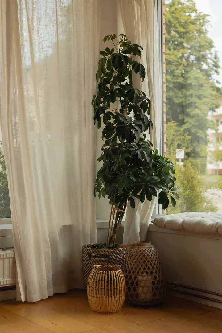 Smud Yoga — Yoga i Storo, Oslo