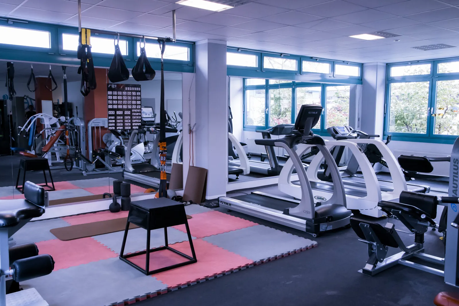 Lewey Training - Studio Hilpoltstein — träningsstudio i Nürnberg — 6