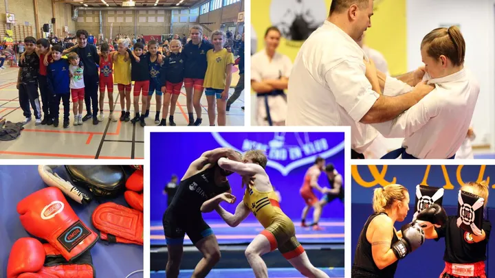 Limhamns Brottarklubb — martial arts-studio i Limhamn, Malmö