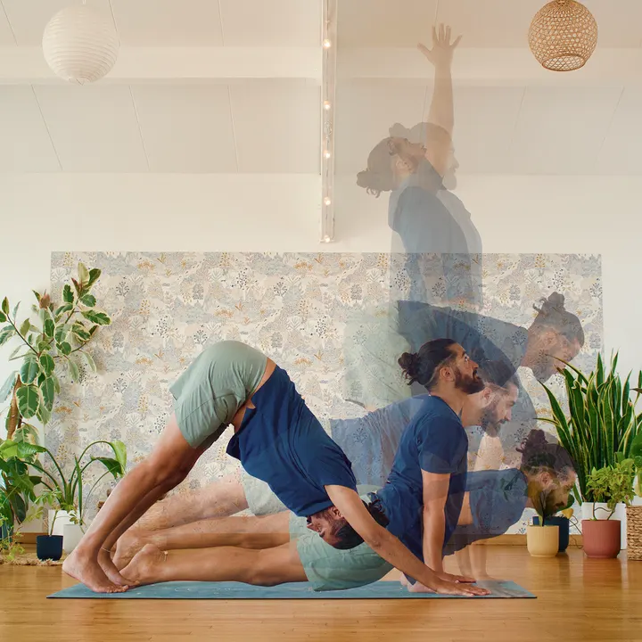 Yoga Flow With Remy — yoga-studio à La Maronnière, La Roche-sur-Yon — 2