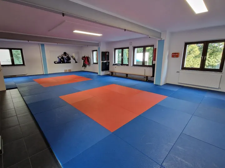 JSC Gerthe e.V. Bochum — bjj-studio in Gerthe, Bochum — 3