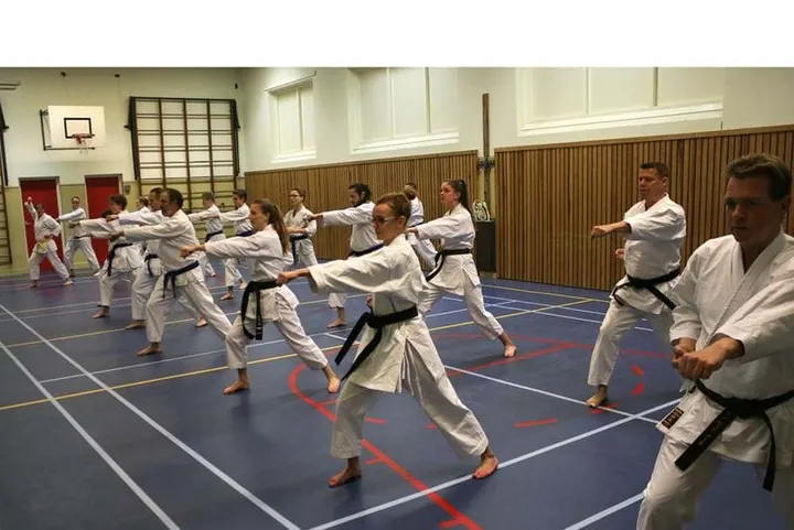 Karateschool Tamashii — vechtsport-studio in Slikkenburg, Halsteren — 2