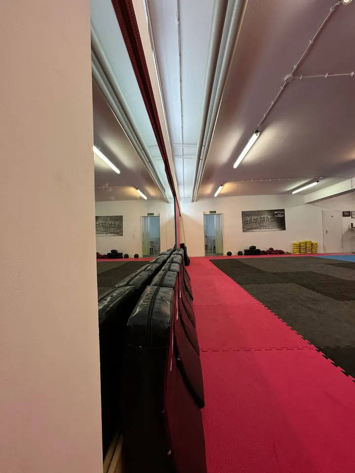 Guerreros Martial Arts — kampfsport-studio in Spandau, Berlin — 3