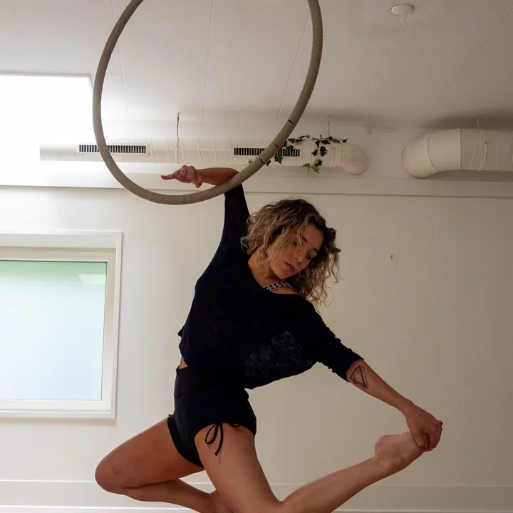 Wild Wavy Studio — Pole fitness in Wyck, Maastricht