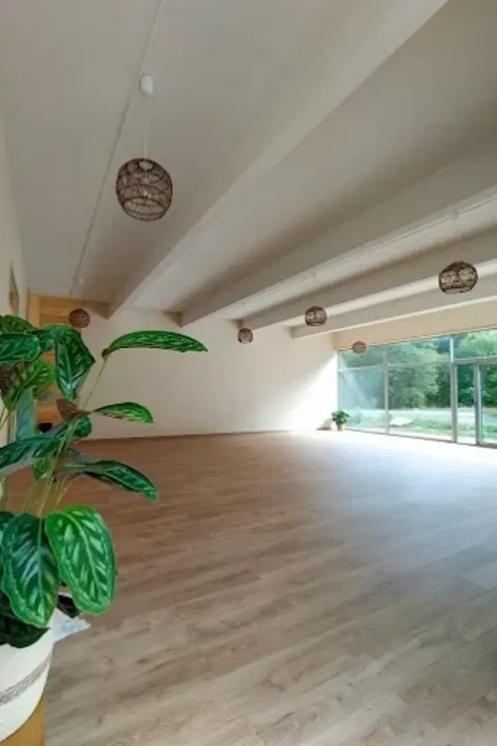 Hana Atha Yoga — yoga-studio à La Roche-sur-Foron — 4