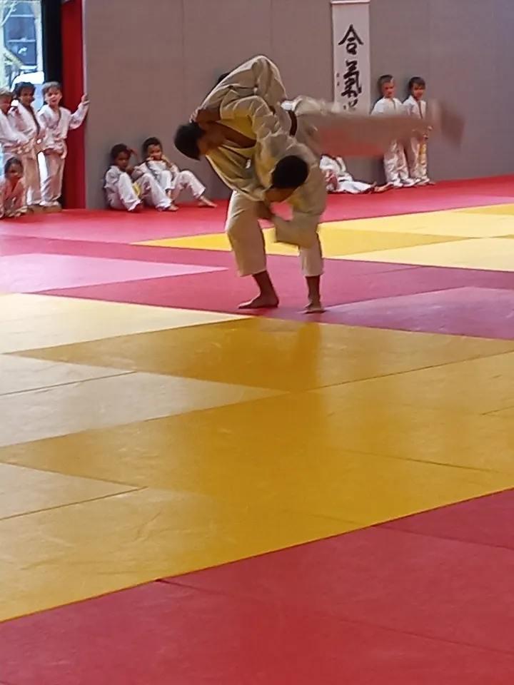 JUDO CLUB DE NANTES — arts martiaux-studio à Île Beaulieu, Nantes — 2
