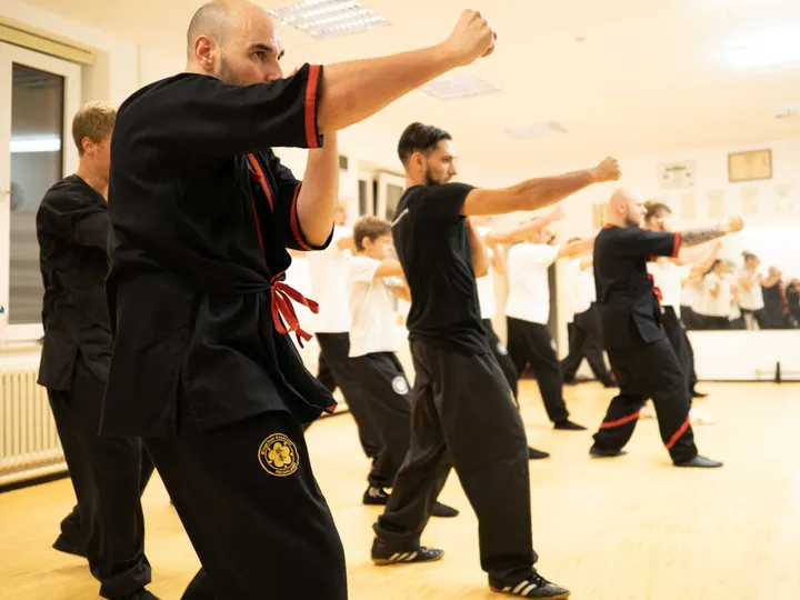 Sifu Andrej Johann — Martial Arts in Weststadt, Heidelberg