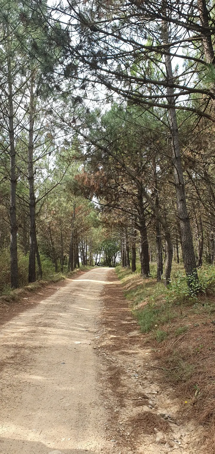 Dojo La Selva Hostalric — artes marciales-studio en Hostalric — 5