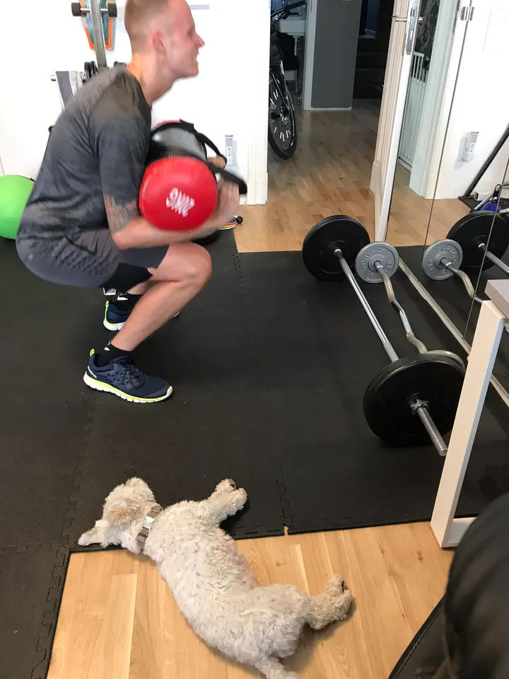 Knese PT Sportclub Steglitz — pt-studio in Steglitz, Berlin — 2