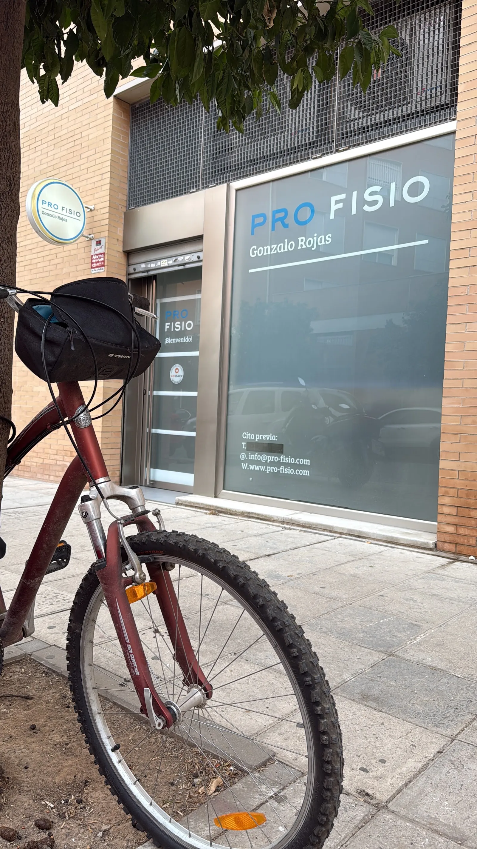 PROFISIO Clínica de Fisioterapia, Pilates y Yoga — yoga-studio en Sevilla — 3