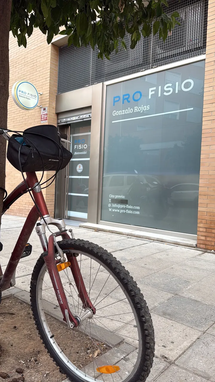 PROFISIO Clínica de Fisioterapia, Pilates y Yoga — yoga-studio en Sevilla — 3