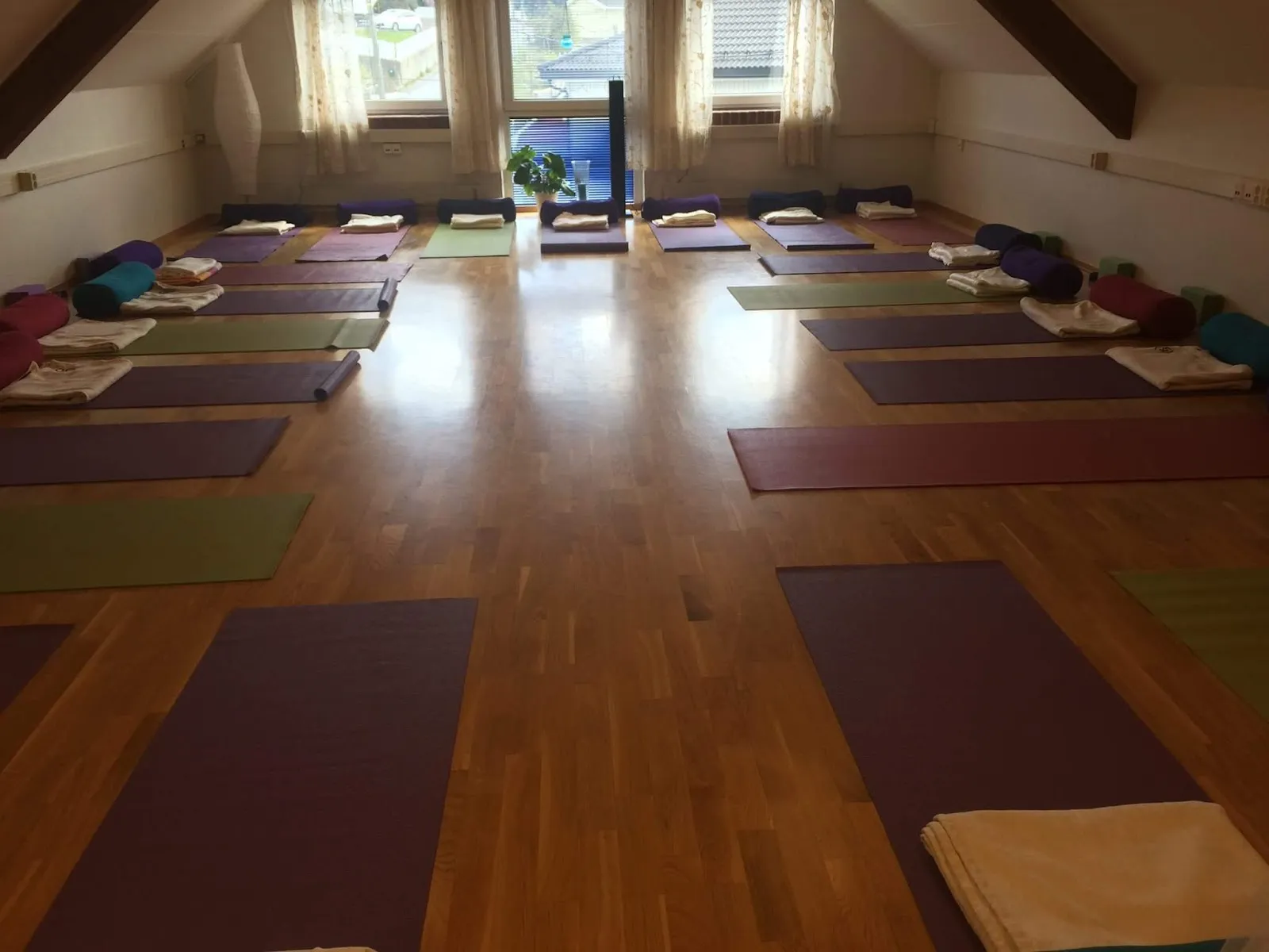 Ragdoll Yoga — yoga-studio i Skotbu — 5