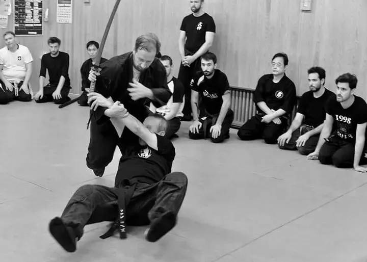 Bujinkan Genkievolution — artes marciales-studio en Zona Rambla, Santa Cruz de Tenerife — 2