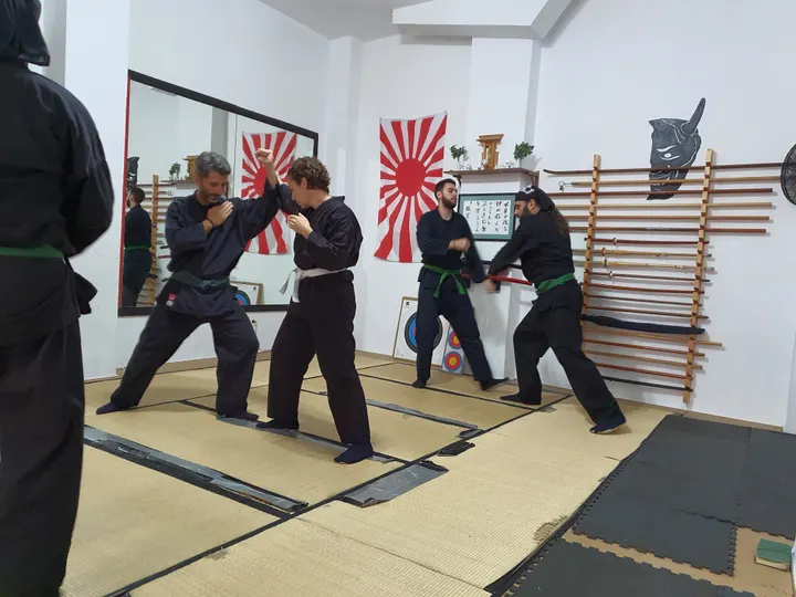 Bujinkan Genkievolution — artes marciales-studio en Zona Rambla, Santa Cruz de Tenerife — 3