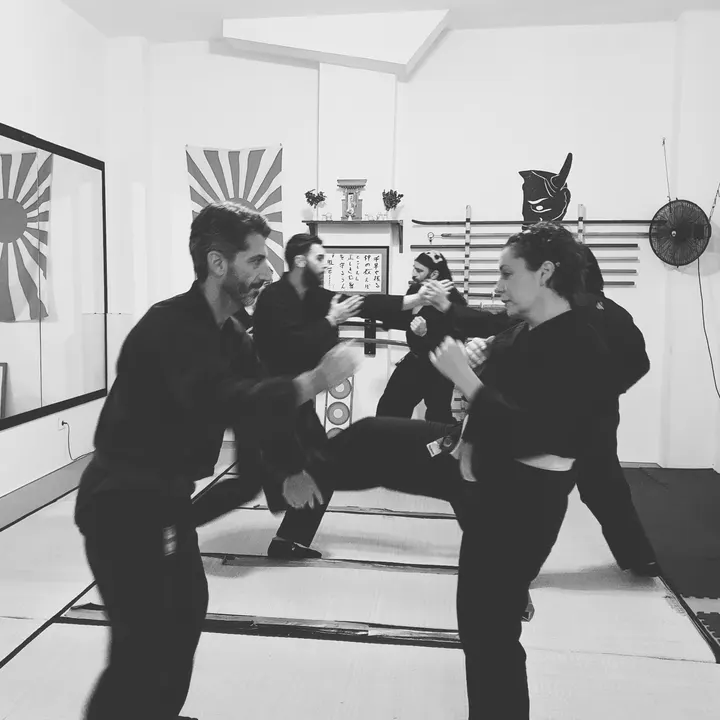 Bujinkan Genkievolution — artes marciales-studio en Santa Cruz de Tenerife — 3