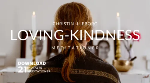Nordic Dharma hos Christin Illeborg — yoga-studio i Kødbyen, København — bild 3