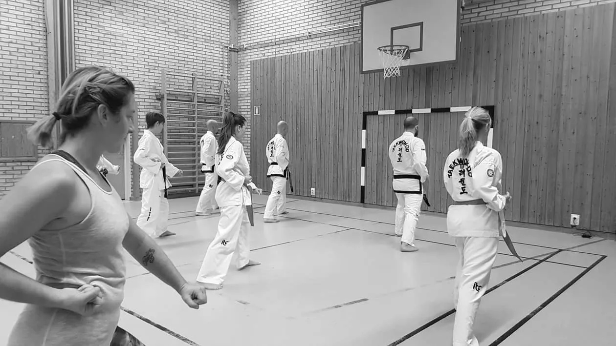 Trollhättans ITF Taekwon-Do — kampsport-studio i Trollhättan — bild 5