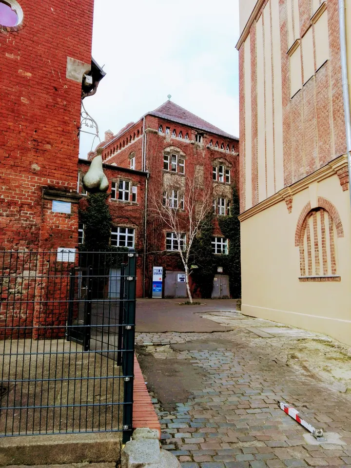 aziza-tanzt Tanzschule — tanz-studio in Prenzlauer Berg, Berlin — 3