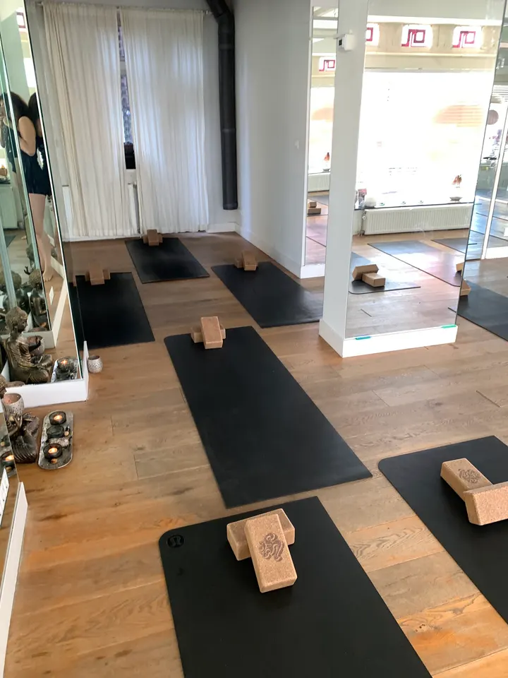 Hot Flow Yoga Rivierenbuurt — hot yoga-studio in Amsterdam — 3