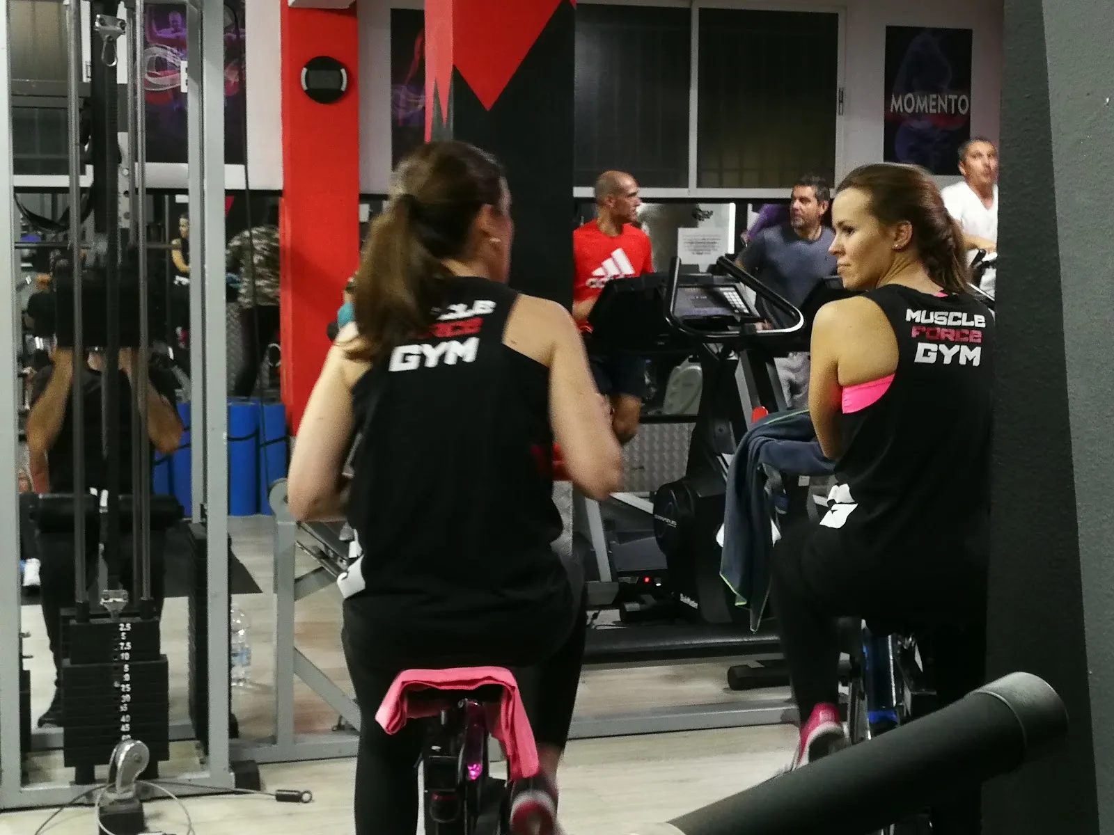 Muscle Force Gym Nueva Málaga — estudio de fitness-studio en Málaga — 4