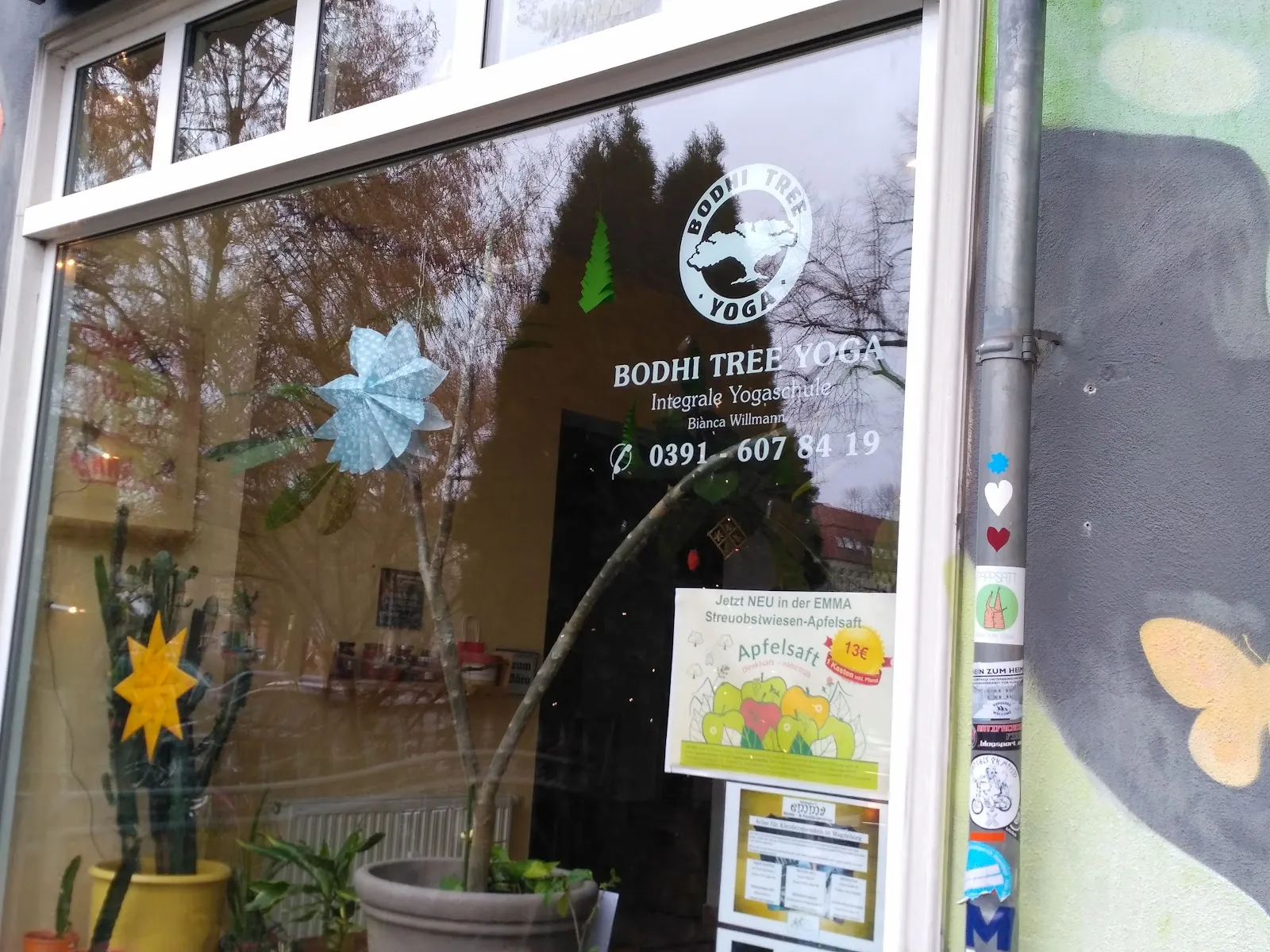 BODHI TREE YOGA im Kinder-u. Familienzentrum Emma yoga — yoga-studio in Stadtfeld Ost, Magdeburg — 3