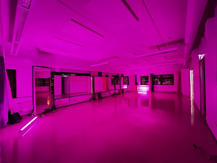 Soul and Sweat Tanssistudio — tanssi-studio – Kuopio — 3