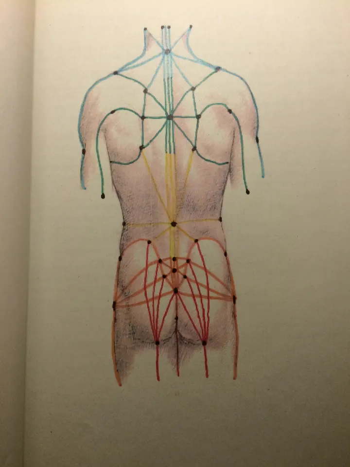Schule für Yoga & Meditation Ayurvedische Massage — yoga-studio in Berlin — 5