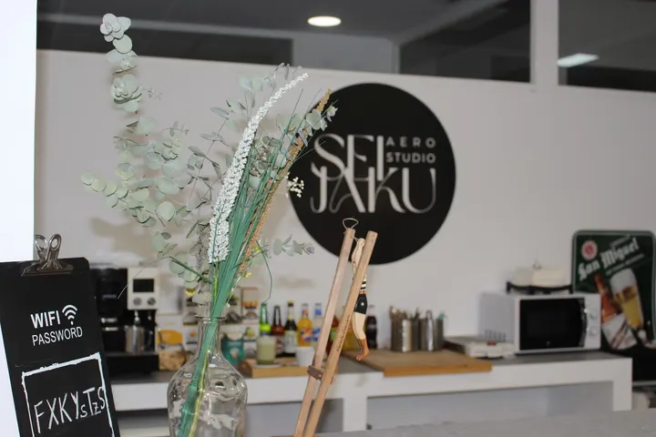 Aero Studio Seijaku Aéreo — aerial-studio en Russafa, Valencia — 2