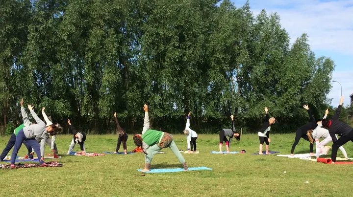 Het Wilgenpaard — Yoga in Kop van 't Land, Dordrecht