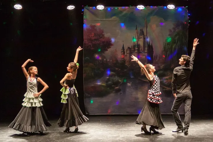 Academia de Danza Sonia Alvarez lorenzana — baile-studio en Oviedo — 3