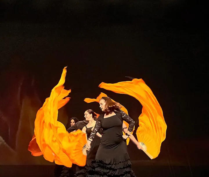 Academia de Danza Sonia Alvarez lorenzana — baile-studio en Oviedo — 5