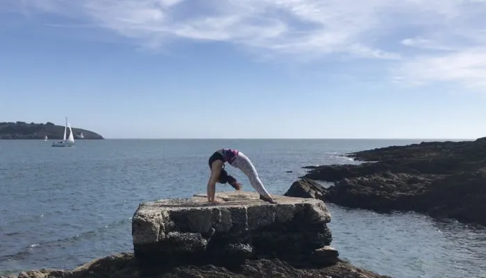 Divine Pole & Aerial — pole fitness-studio in Truro — 2