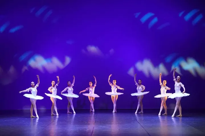 Academia de Bailado de Guimarães — dança-studio em Guimarães — 2