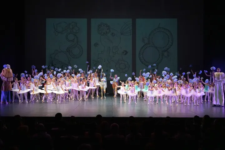Academia de Bailado de Guimarães — Dança em Guimarães