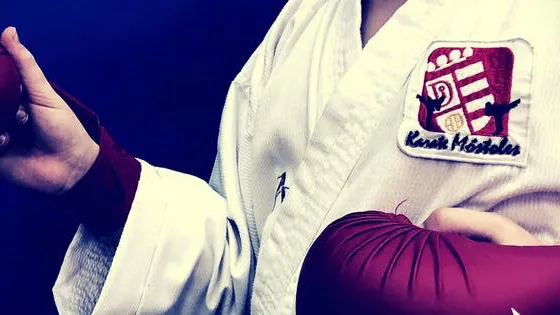 CDE Karate Móstoles — artes marciales-studio en Móstoles — 3