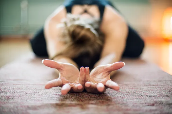 Yogabird — Yoga in Stolersluis, Gouda