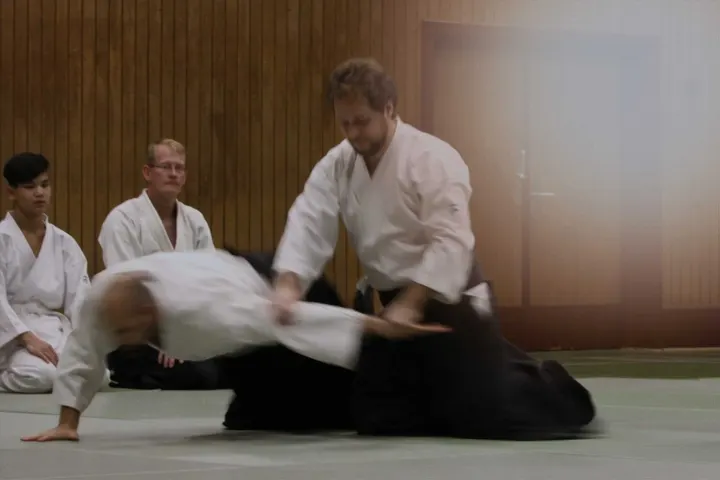 Aiki-Dōjō Ludwigshafen — Kampfsport in Ludwigshafen-Friesenheim, Ludwigshafen am Rhein